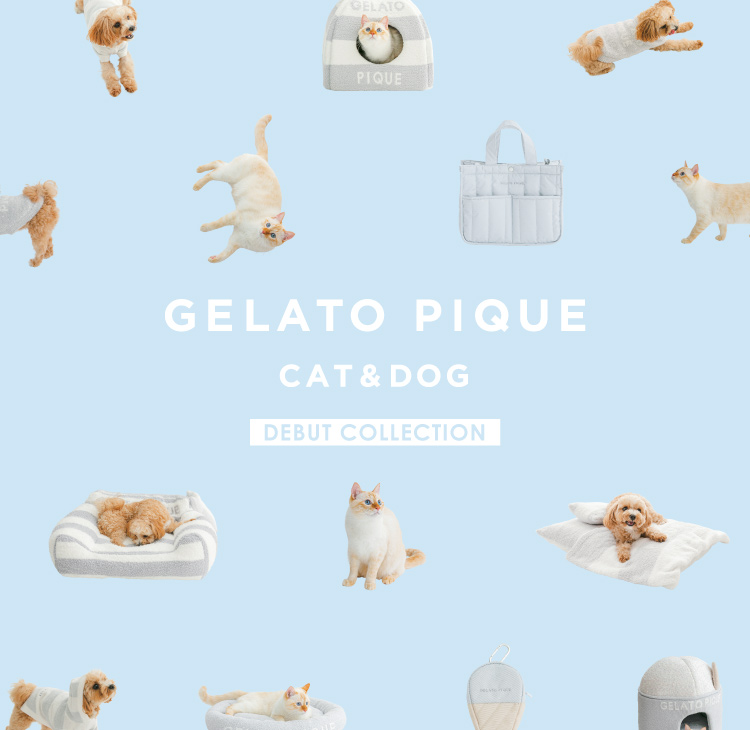 GELATO PIQUE CAT＆DOG DEBUT COLLECTION
