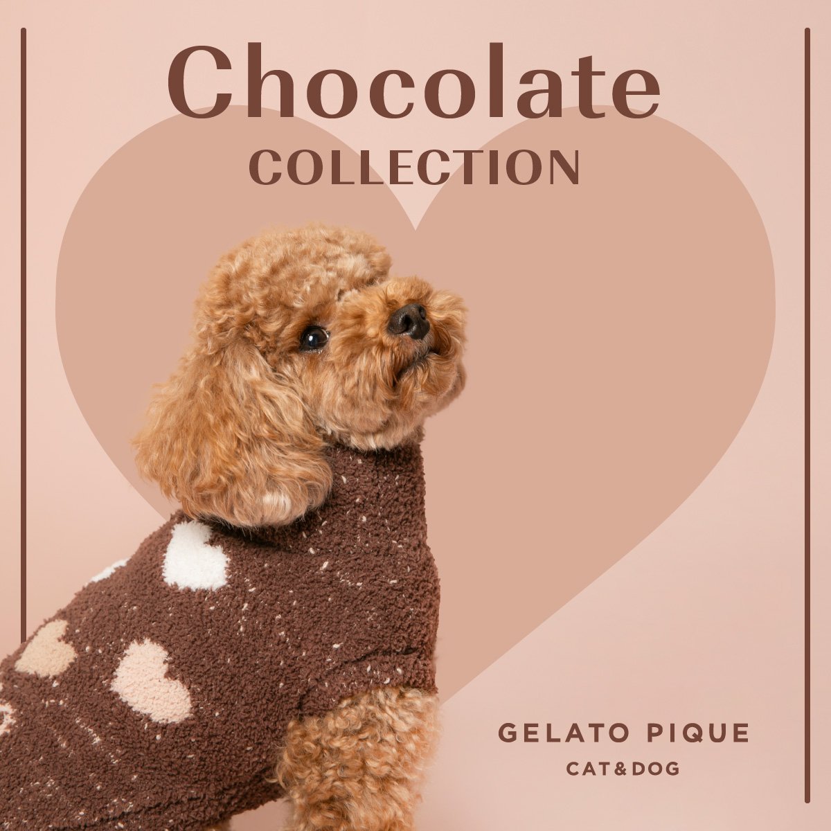 Chocolate COLLECTION GELATO PIQUE CAT&DOG